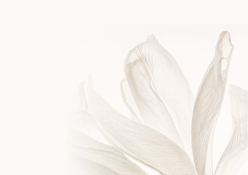 Unguentum Bottle Set